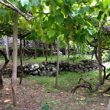 Holidays Madeira São Vicente 외부 사진